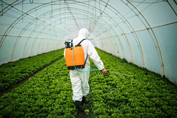 Best Pest Control Near Me  in Aberdeen, MD