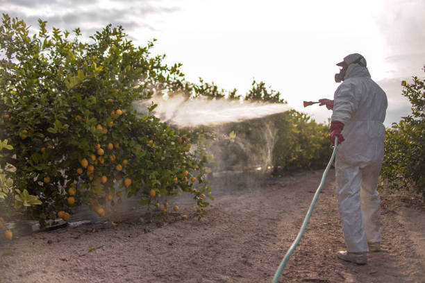 Best Pest Control Near Me  in Aberdeen, MD
