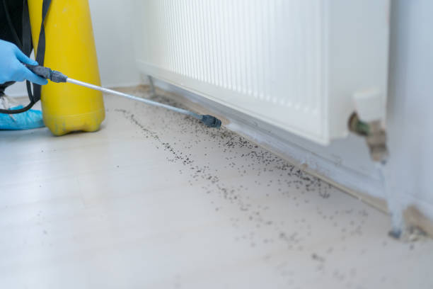 Best Emergency Pest Control  in Aberdeen, MD