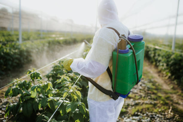 Best Bed Bug Extermination  in Aberdeen, MD